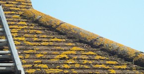 Before roof cleaning in Dartford